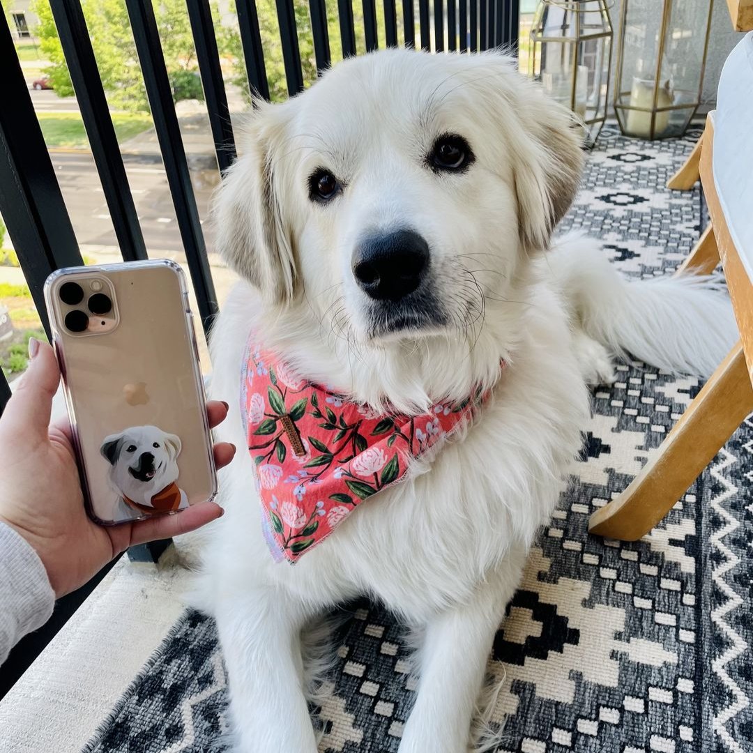 Custom pet portrait phone case