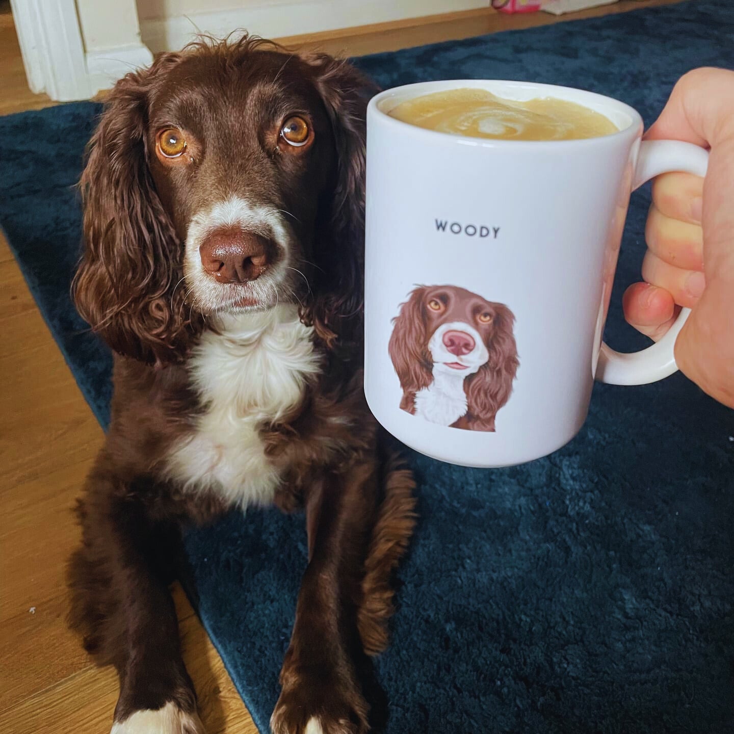 Custom Pet Portrait Mug